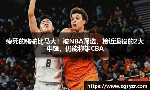 瘦死的骆驼比马大！被NBA筛选，接近退役的2大中锋，仍能称雄CBA